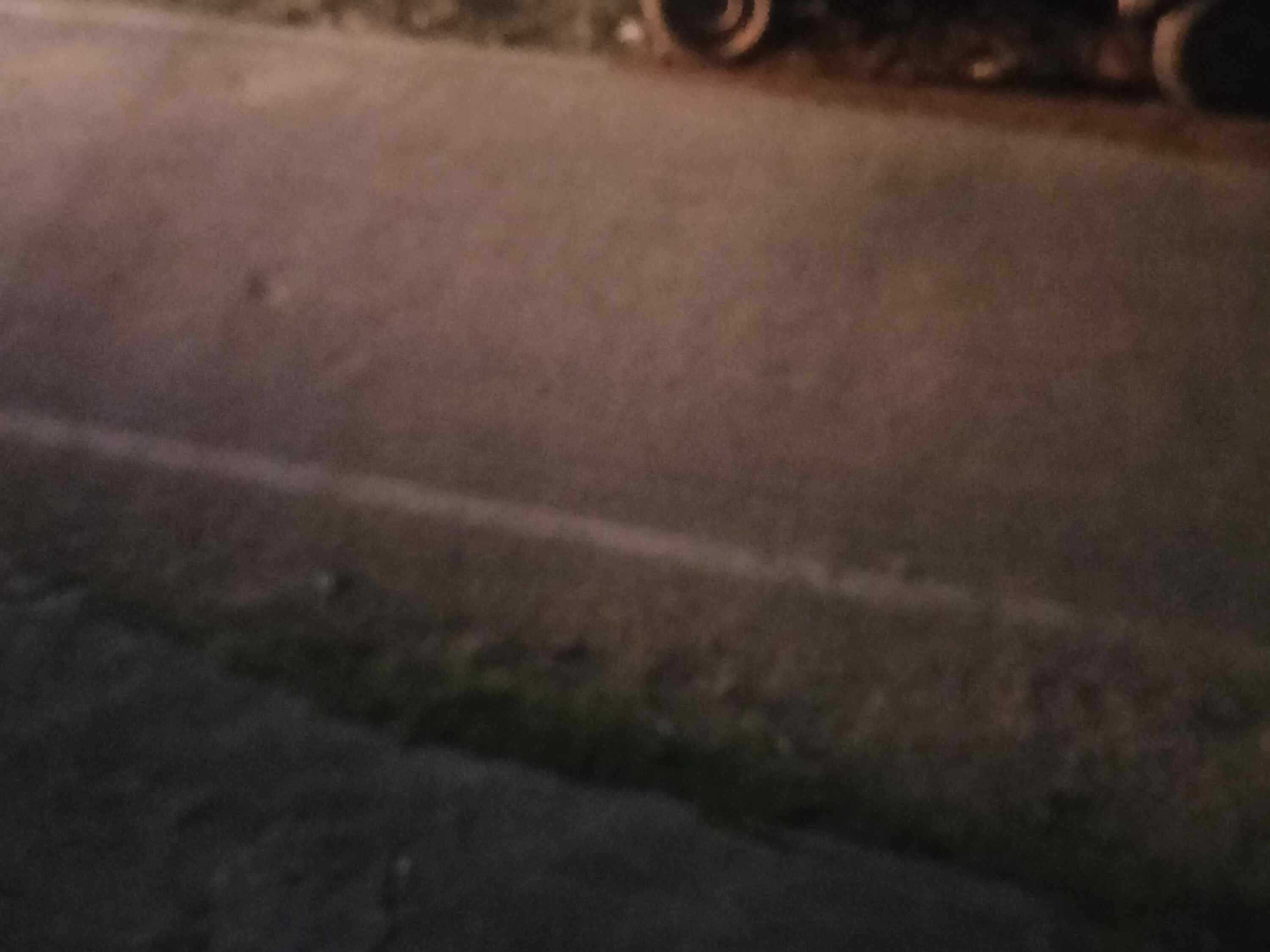 Ecco Car