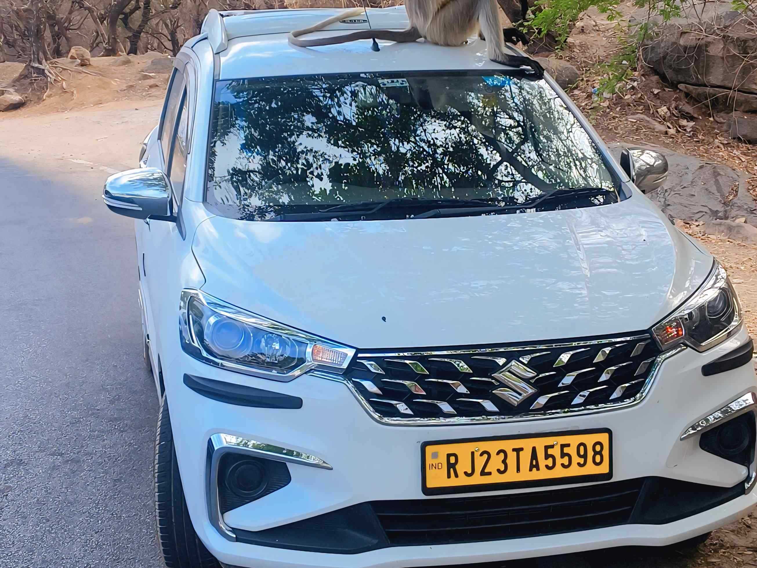 SUV Ertiga Car