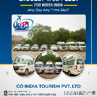 GO INDIA TOURISM PVT LTD