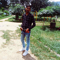 Arzo Travels