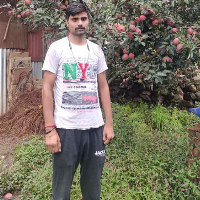 Mahalaxmi Travels