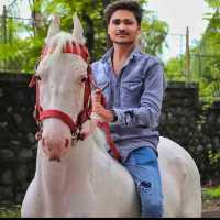 Sai Roop Tours and Travels