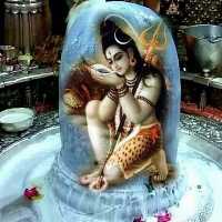 Mahadev Tour Services