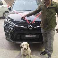 Sai Tour And Travels