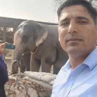 Mukesh Kumar Nitharwal