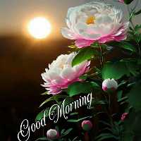 Yogesh Kumar