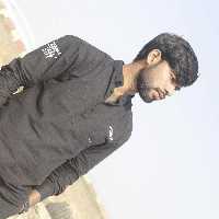 Rohit Travels