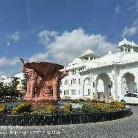 G S Tours