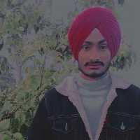 Saini Tour and Travels