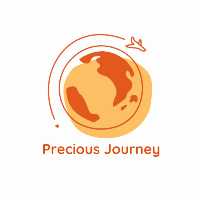 Precious Journey
