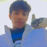 Samad Abbas