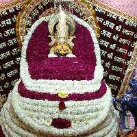 Shri Shyam Tour and Travels