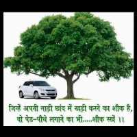 Sitaram Bishnoi
