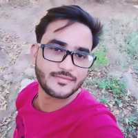 Man Singh Meena
