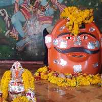 Parag Travels