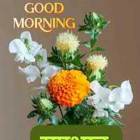 Abhinadan Tour And Travels