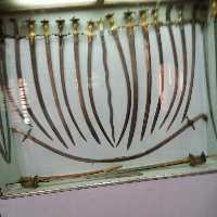 Narender Verma