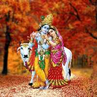 Radhe Krishna Travels