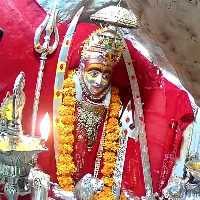 Mahendar Kumar Mali