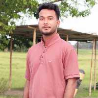 Nur Islam Ali