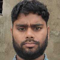 Triveni Saw