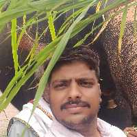 Nilesh Ashok Kumar Tatriya