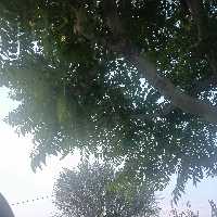 Ramesh Kumar