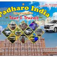 A1 Pink City