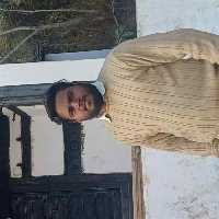 Pintu Mali