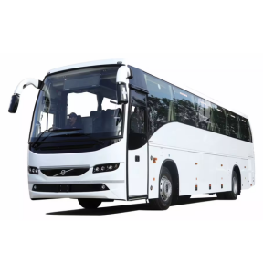 Mini & Luxury Buses
