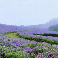 Shri Matha Tours